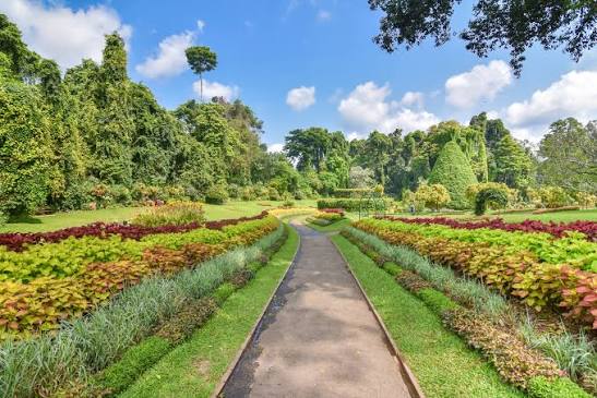 Peradeniya Botanical Gardens