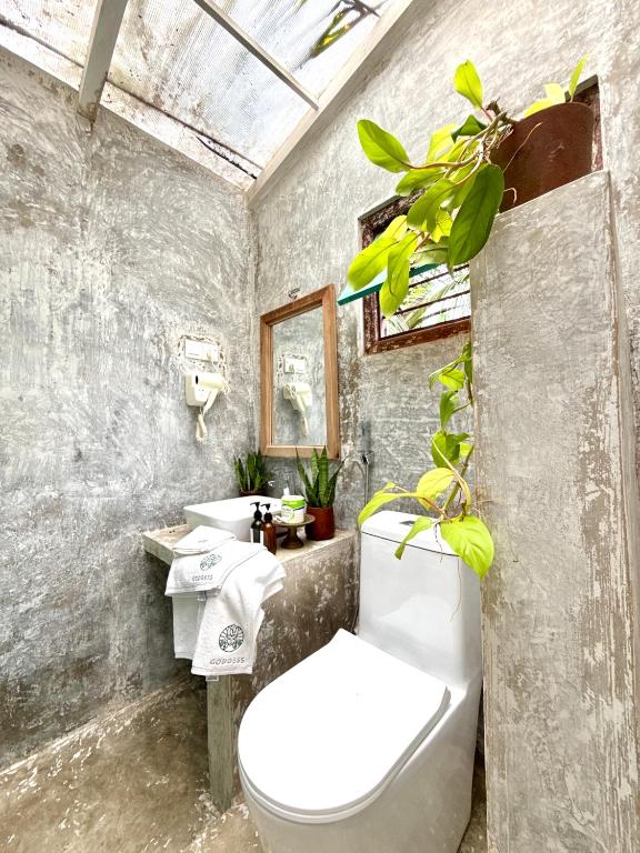 Queen Room · Courtyard