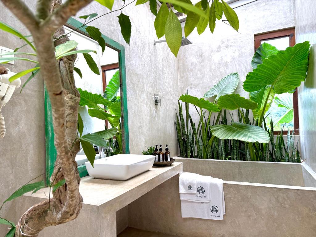 Triple Room · Pool View