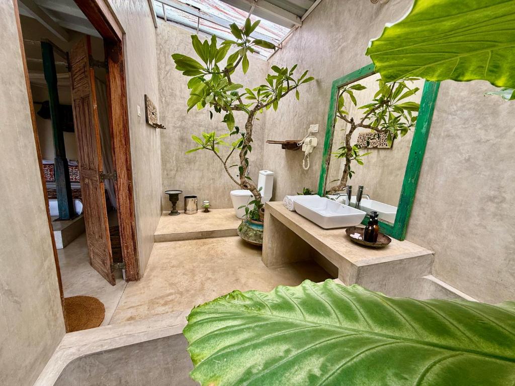 Triple Room · Pool View