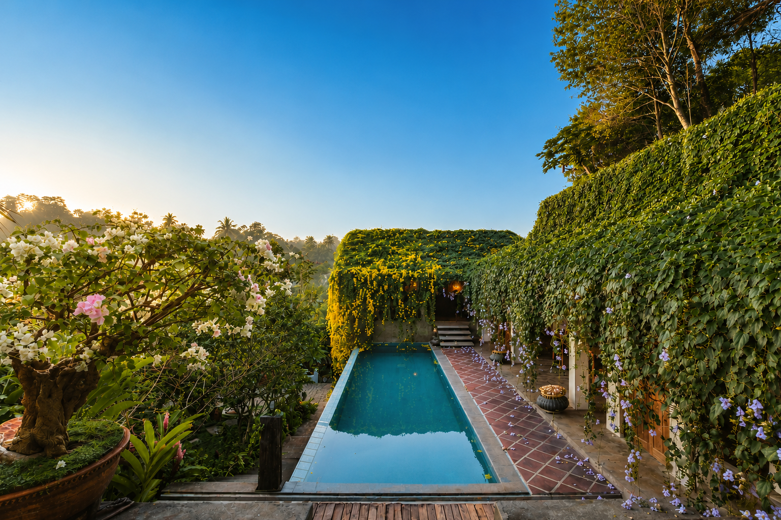 The pool